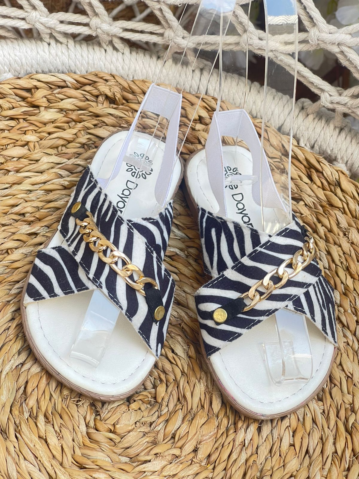 WhatsApp Image 2026-03-16 at 4.13.56 PM