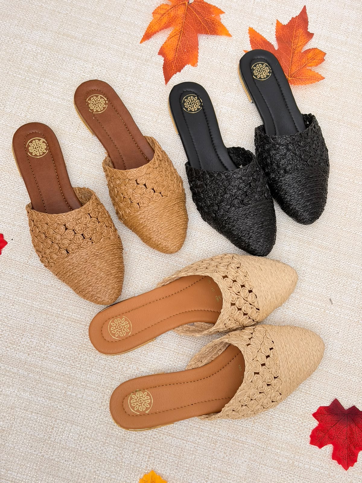 WhatsApp Image 2026-09-10 at 14.19.42