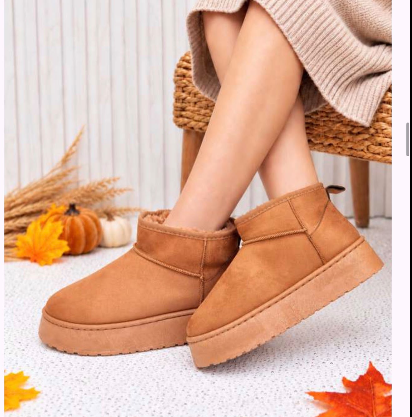 WhatsApp Image 2026-10-08 at 6.51.28 PM (1)